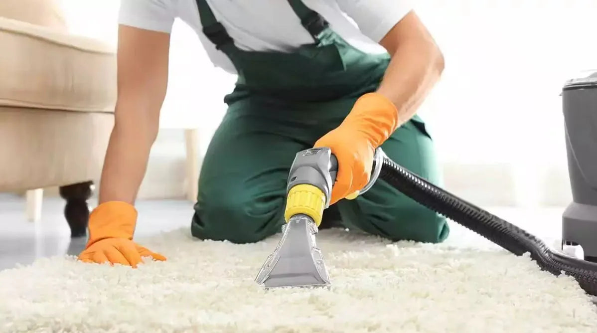 Person cleaning a carpet with a steam cleaner in a home setting