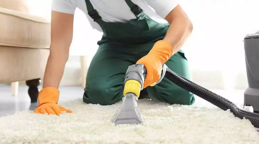 Person cleaning a carpet with a steam cleaner in a home setting